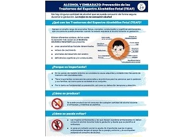 ALCOHOL Y EMBARAZO: Prevenci&oacute;n de los Trastornos del Espectro Alcoh&oacute;lico Fetal (TEAF)