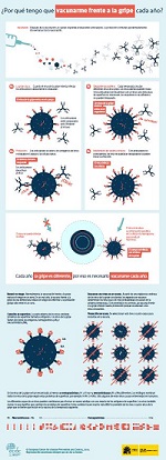&nbsp;&iquest;Por qu&eacute; tengo que vacunarme frente a la gripe cada a&ntilde;o?