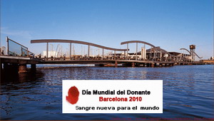 D&iacute;a Mundial del Donante de Sangre 2010