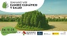 Icono Cambio clim&aacute;tico y salud