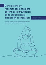 Imagen de las Conclusiones y recomendaciones para potenciar la prevenci&oacute;n de la exposici&oacute;n al alcohol en el embarazo (2024)