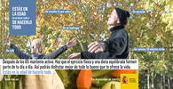H&aacute;bitos saludables mayores de 65 a&ntilde;os